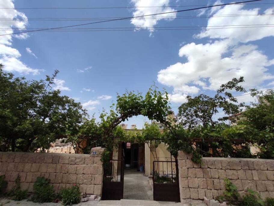 Photo 28