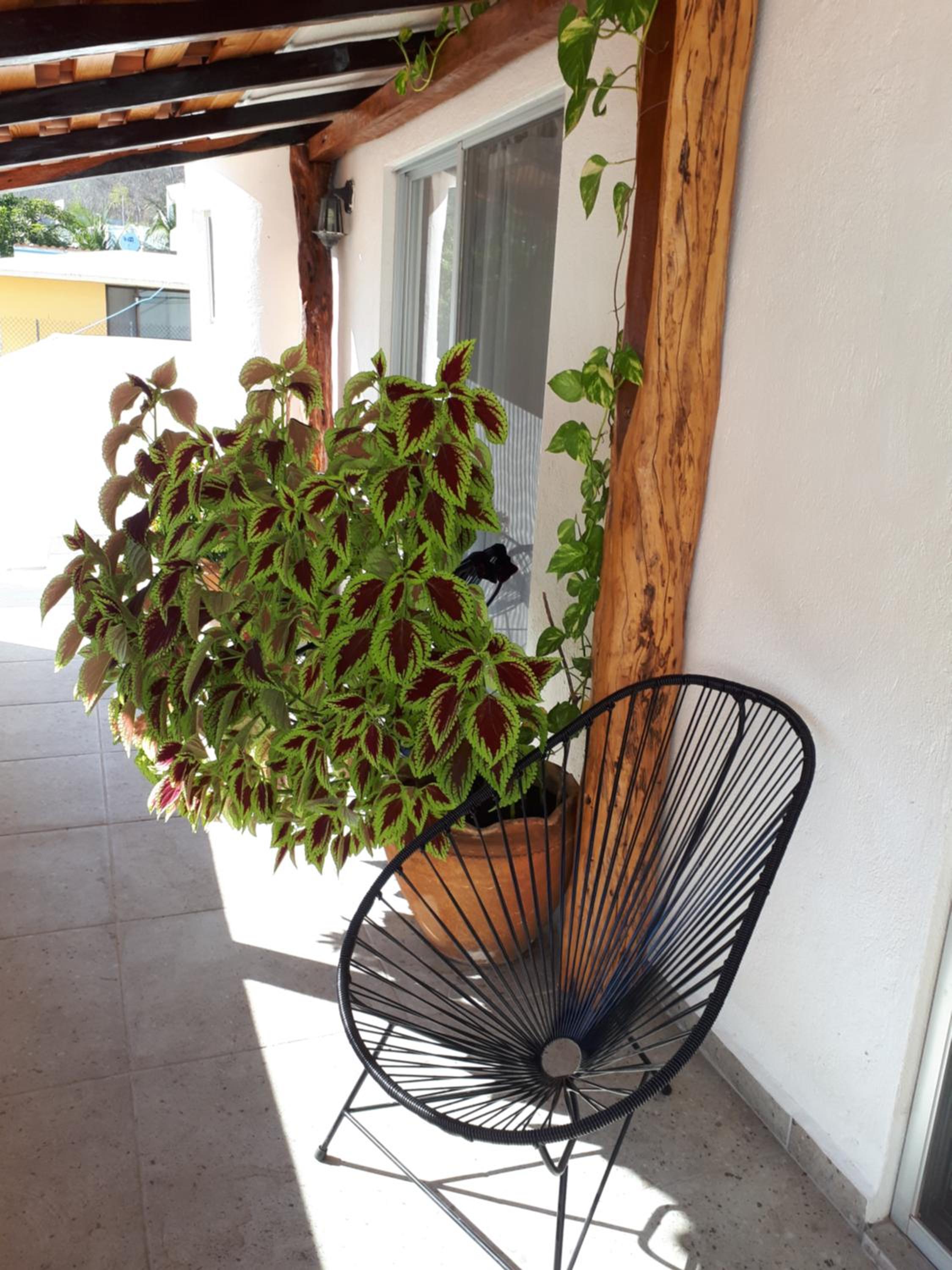 Photo 27