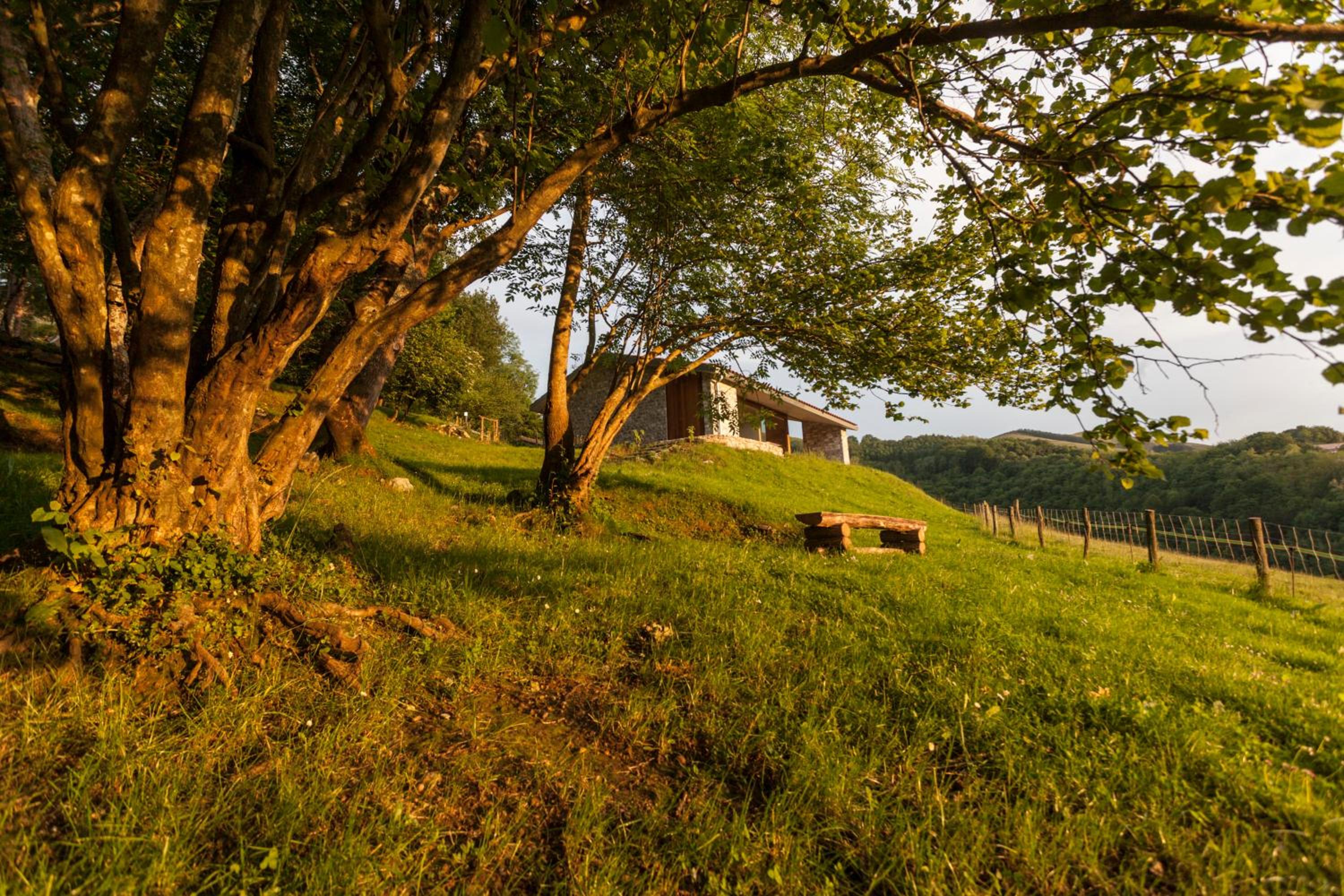 Cabañas Deluxe Basajaun Basoa by IrriSarri Land