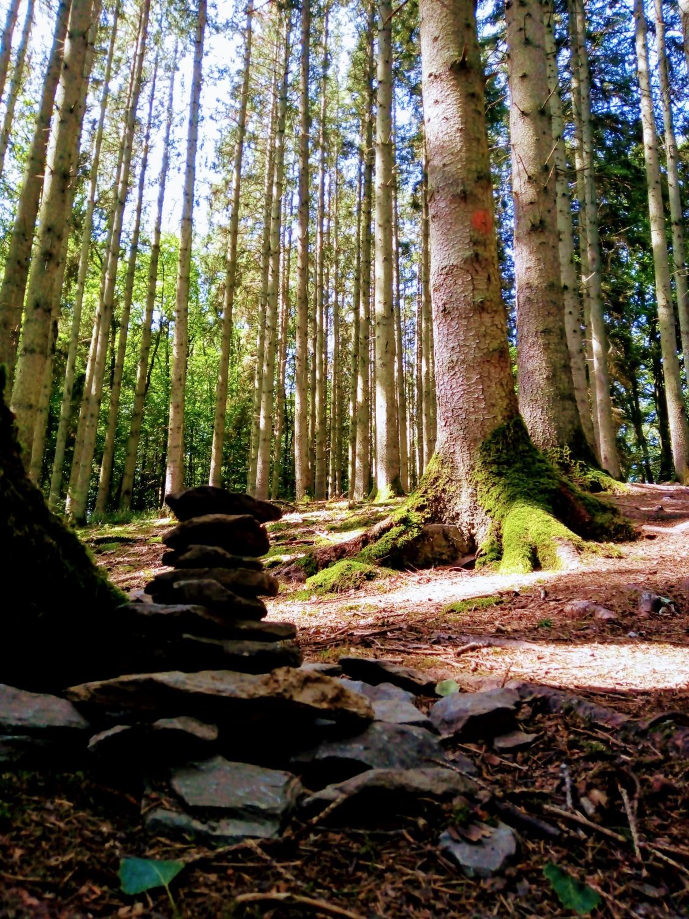 La Roche en Ardenne , welcome