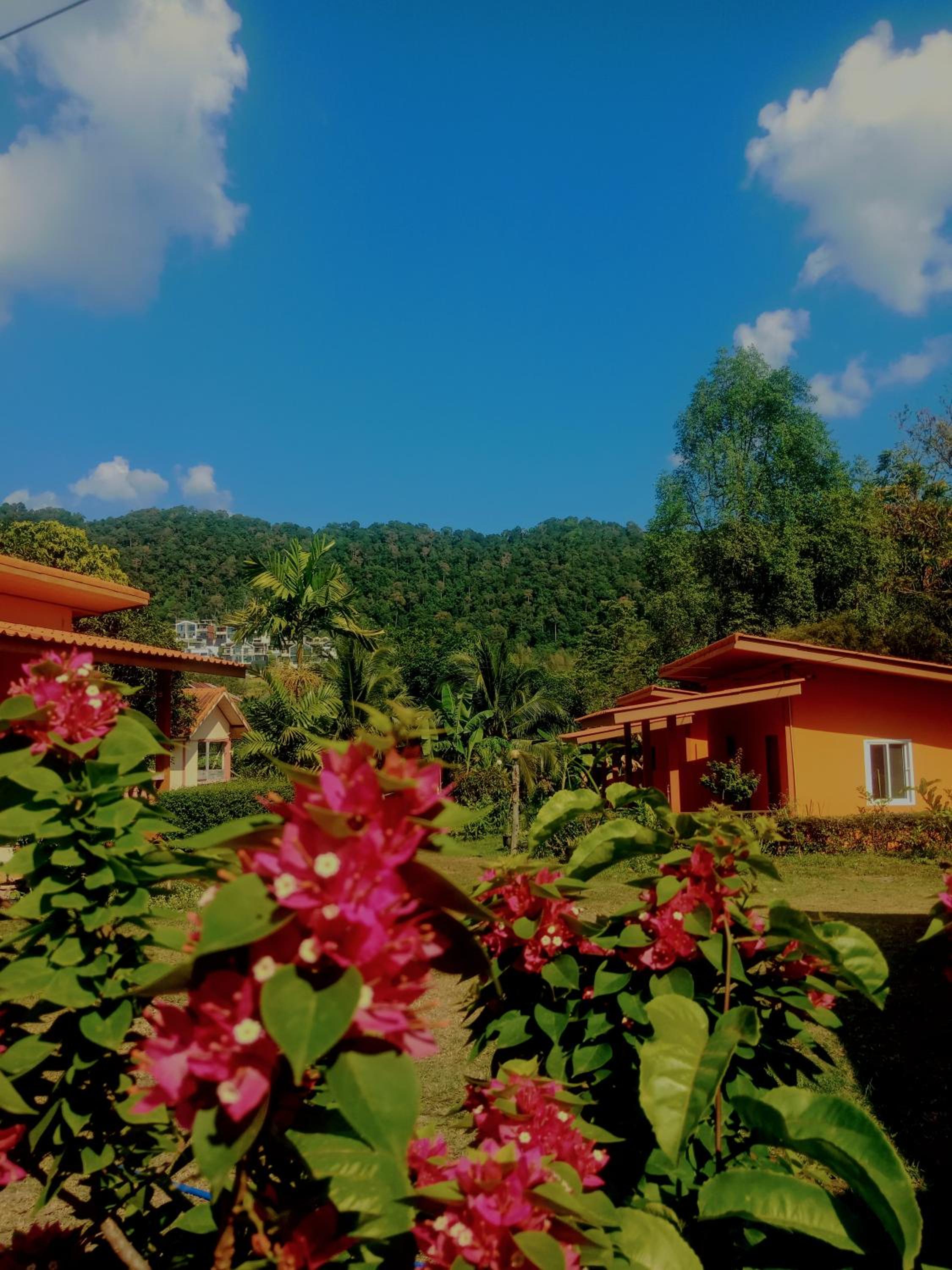 Hassana Garden Home