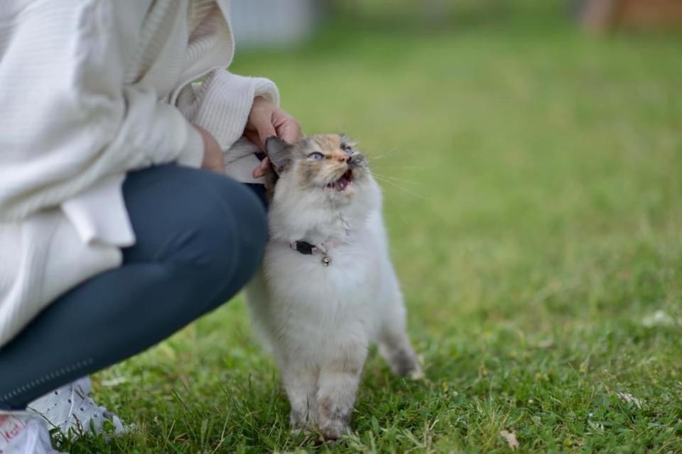 human