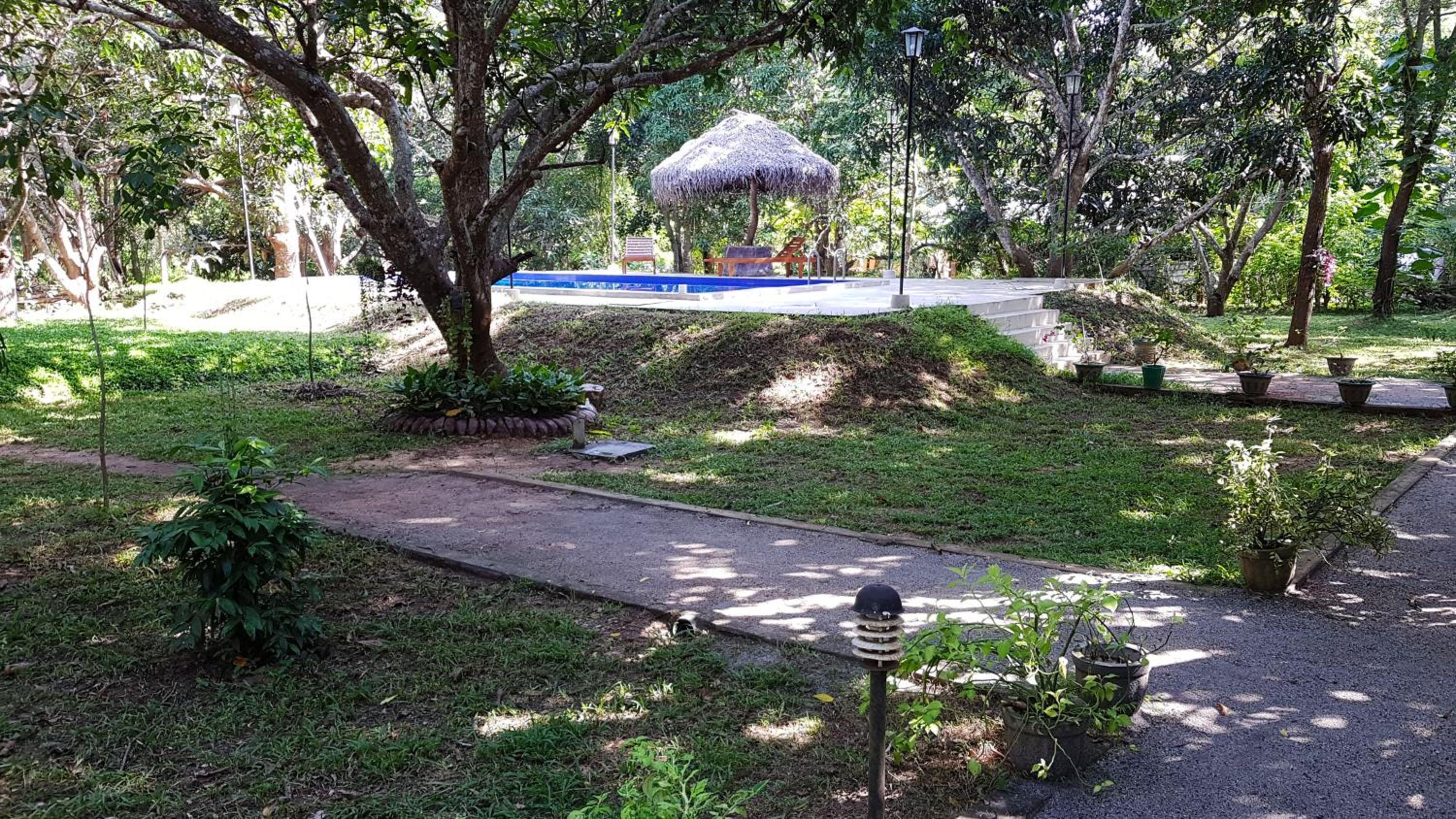 Photo 43