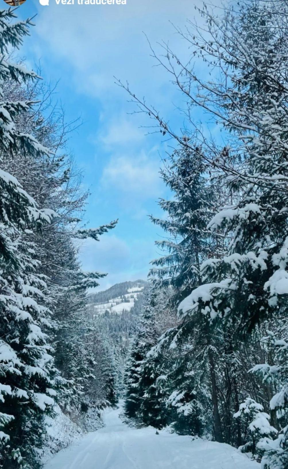 Photo 103