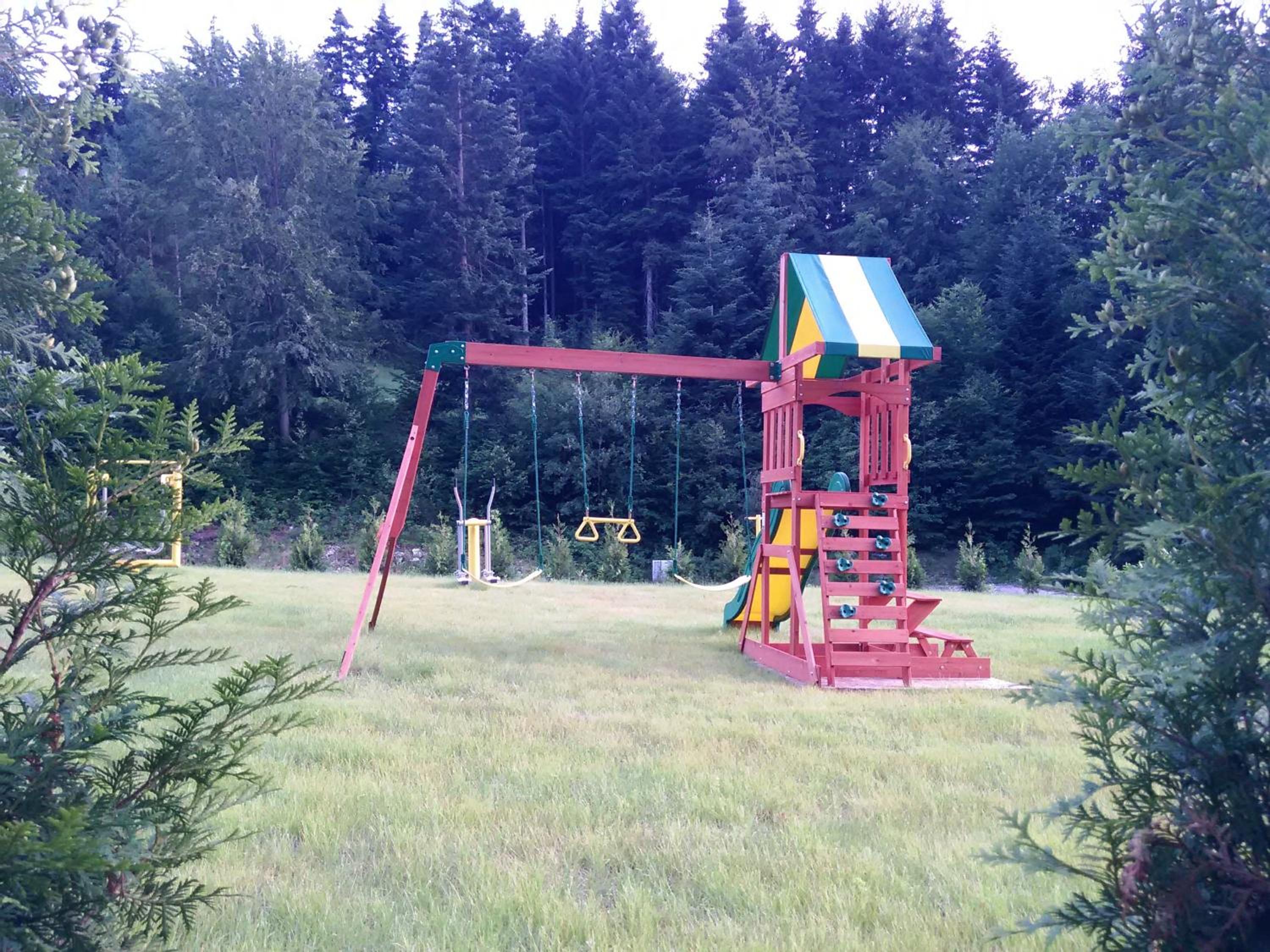 Photo 11