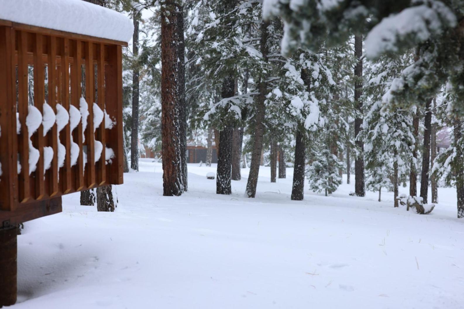 Cabin in the National Forest near Brian Head, Bryce Canyon and Zion view 3