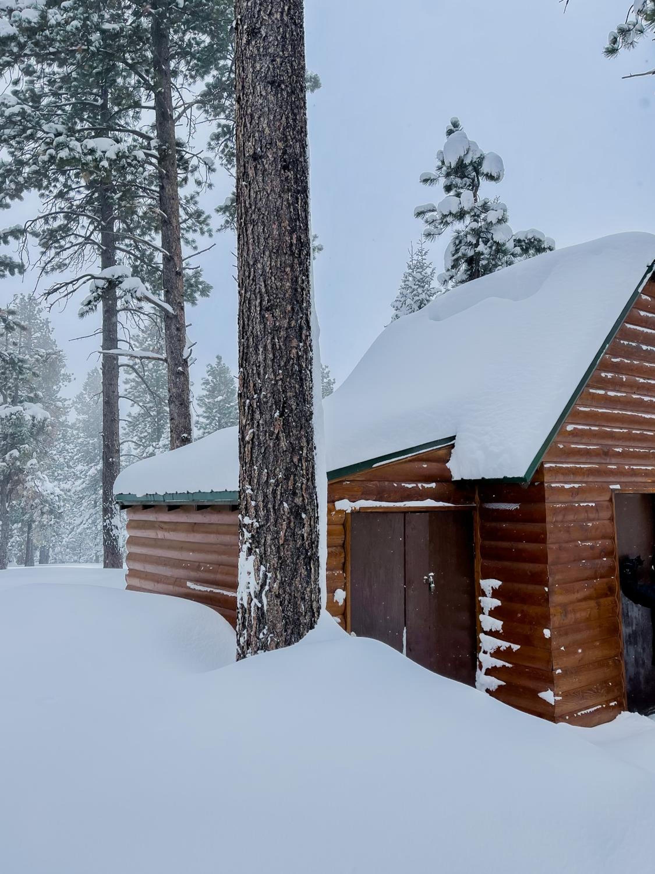 Cabin in the National Forest near Brian Head, Bryce Canyon and Zion view 4