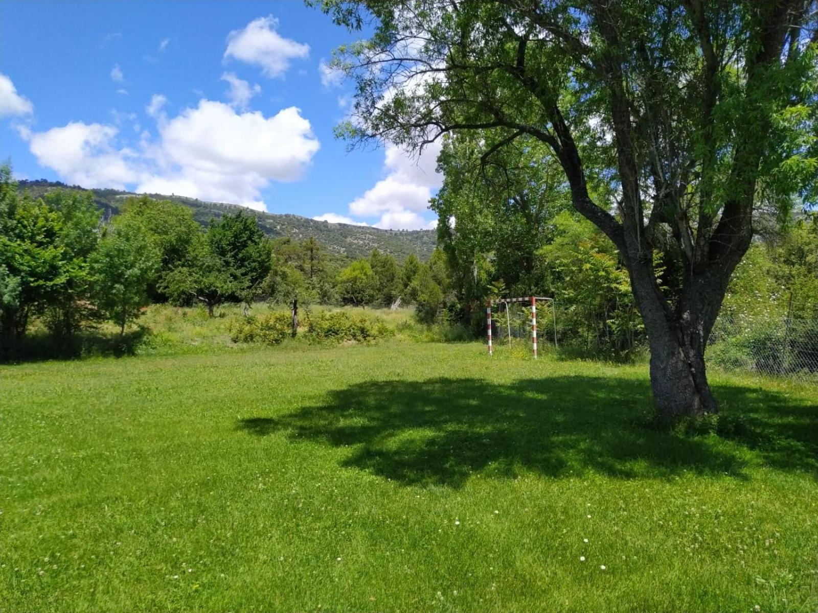 Photo 21