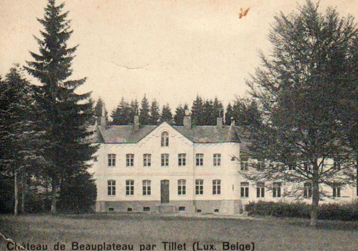 Petit château de Beauplateau