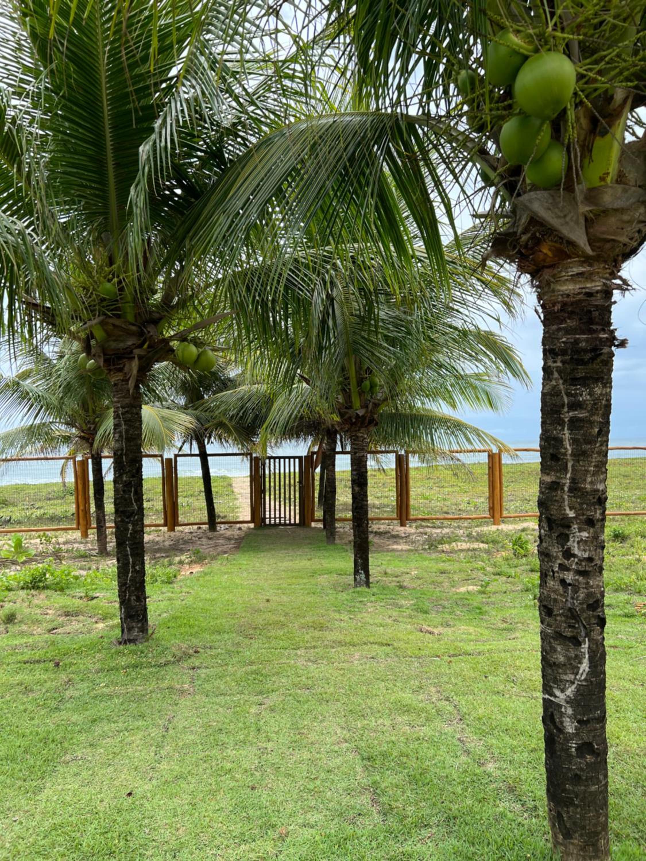 Apto novo Imperia Lounge pé-na-areia Itacimirim