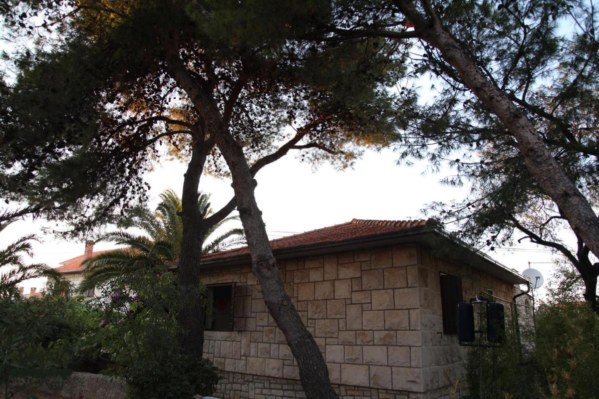 Photo 12