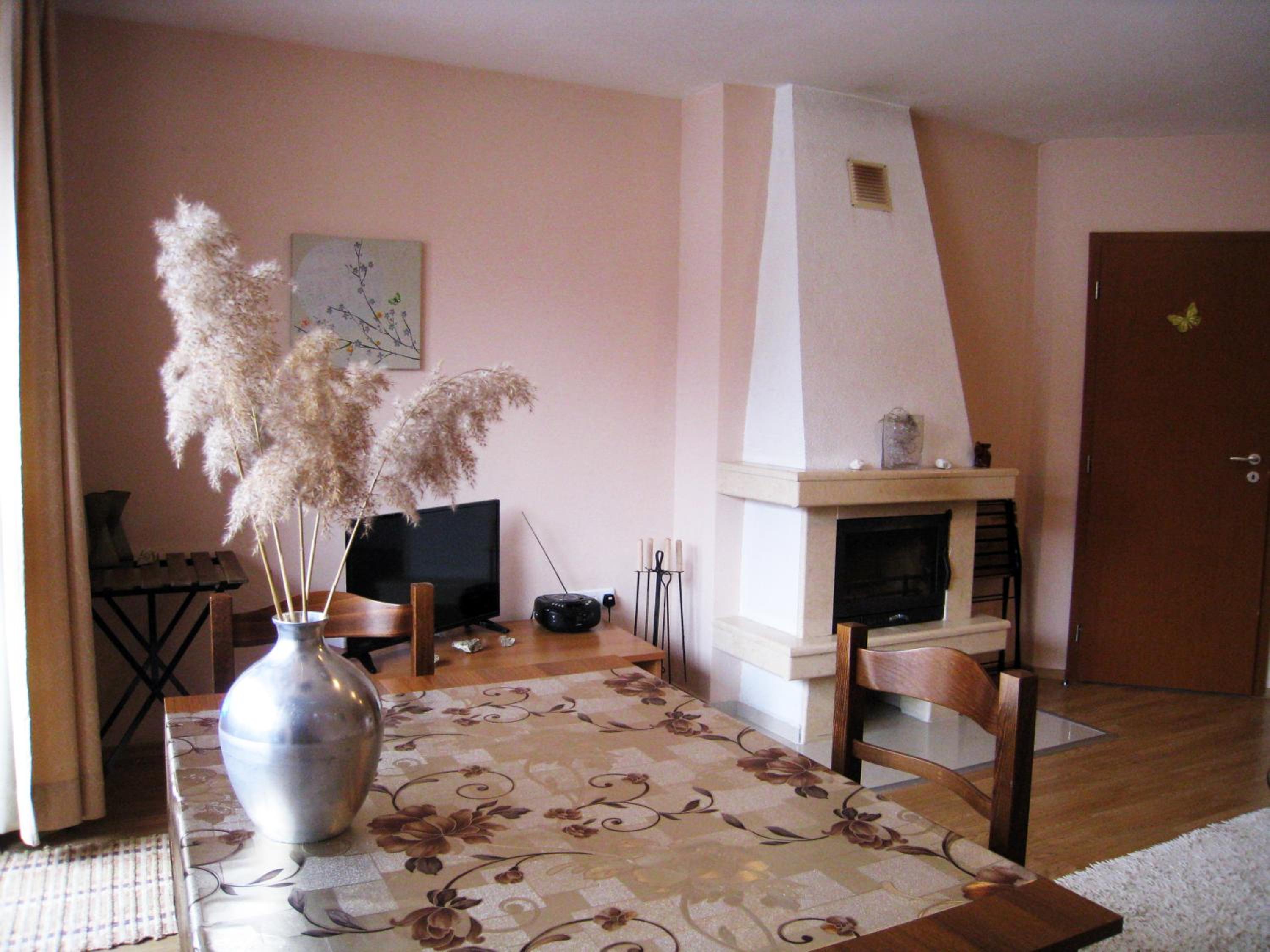 Solar nest with fireplace and mountain view - near ski lift and center