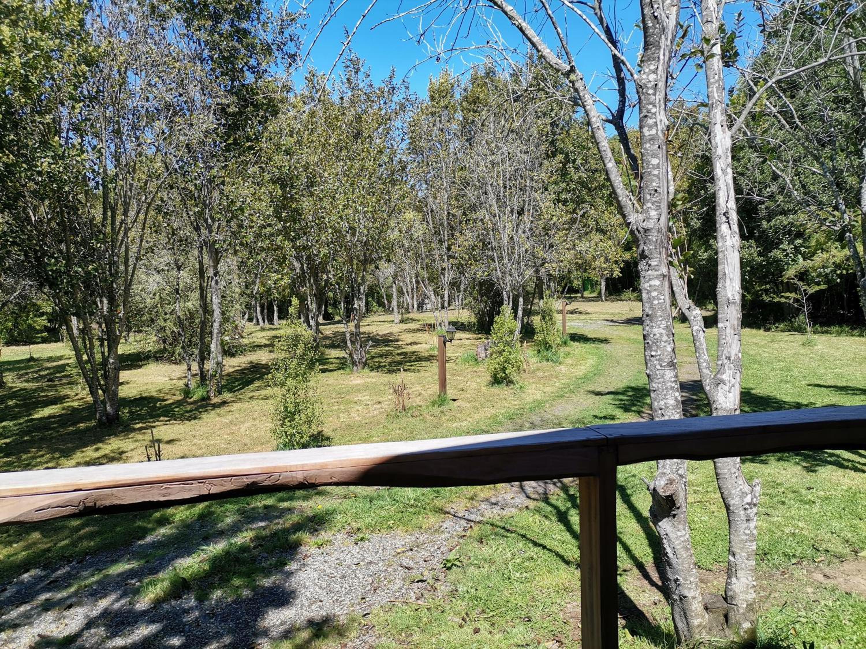 Wonderful rustic cabin 2, with native logs, on the banks of the Trancura River