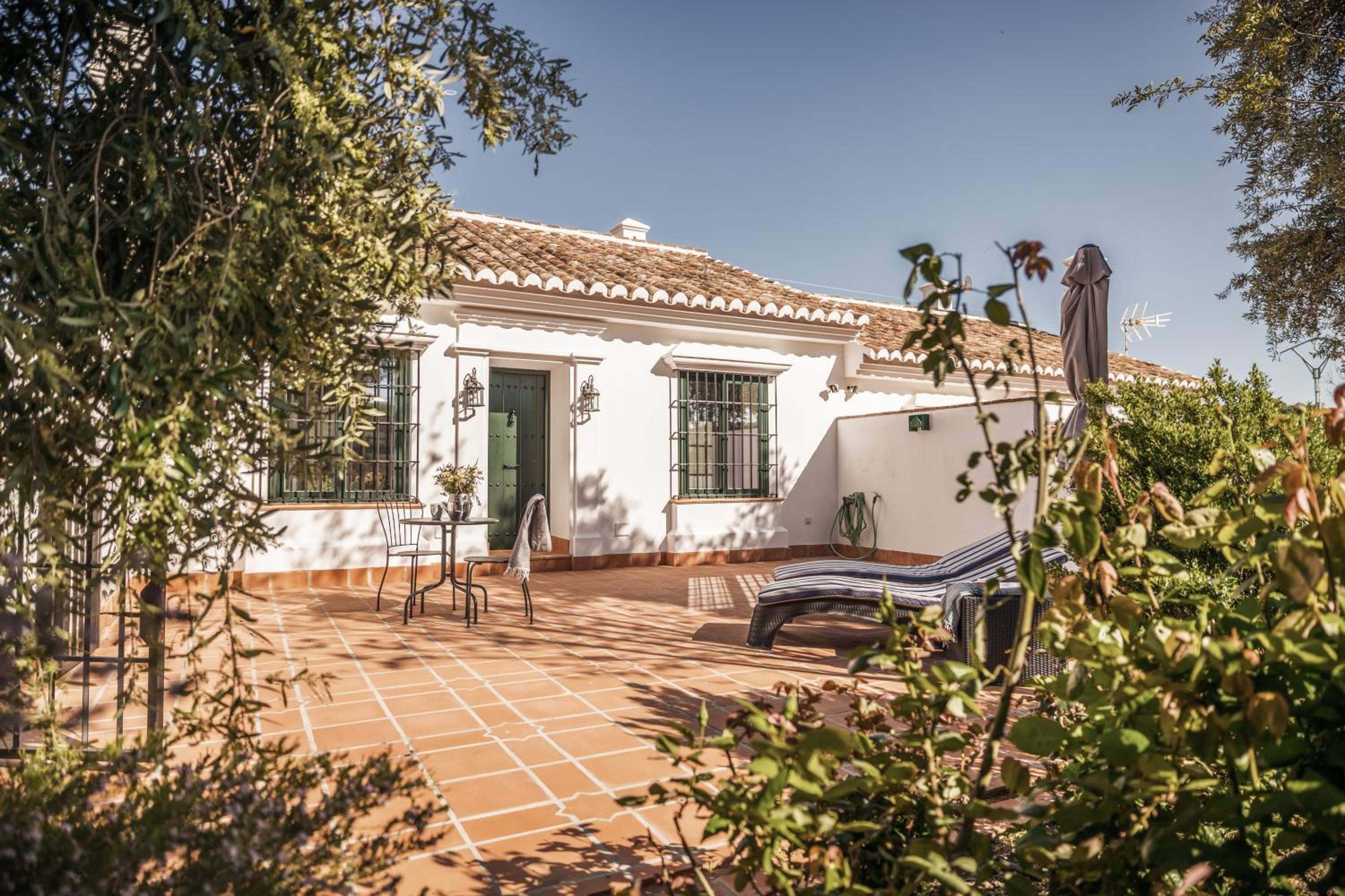 Casa Maurus by Rosas Cantares photo 3