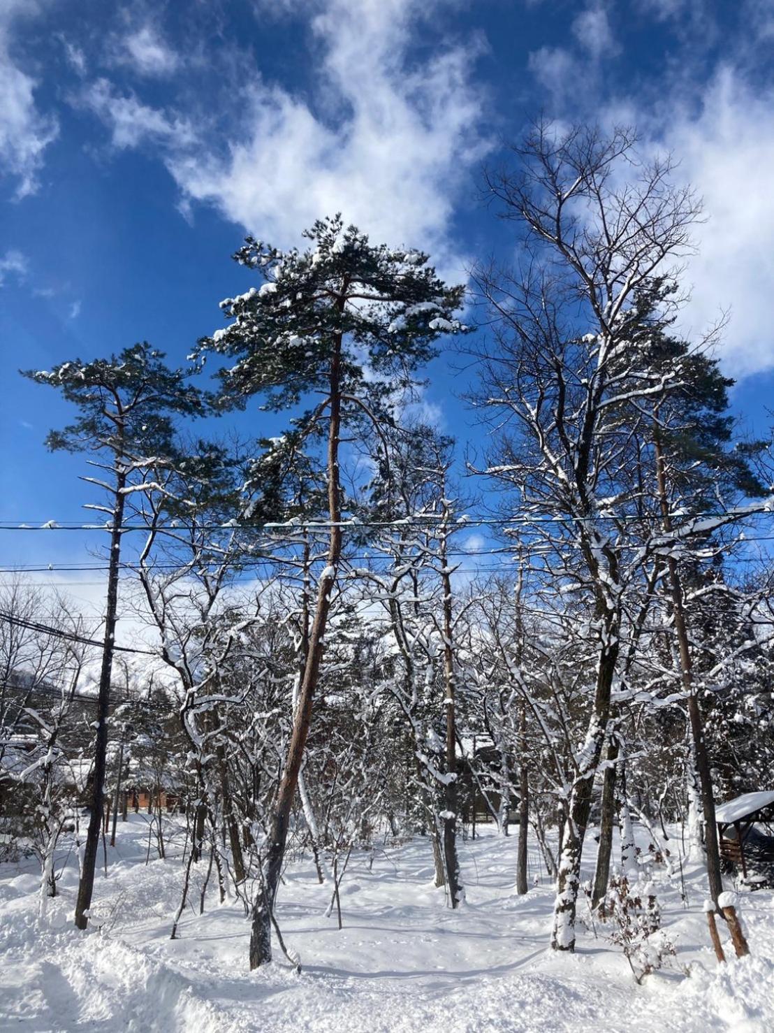 Seventh Heaven Hakuba