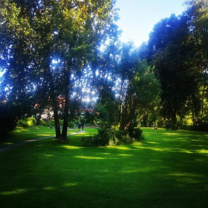 Photo 40
