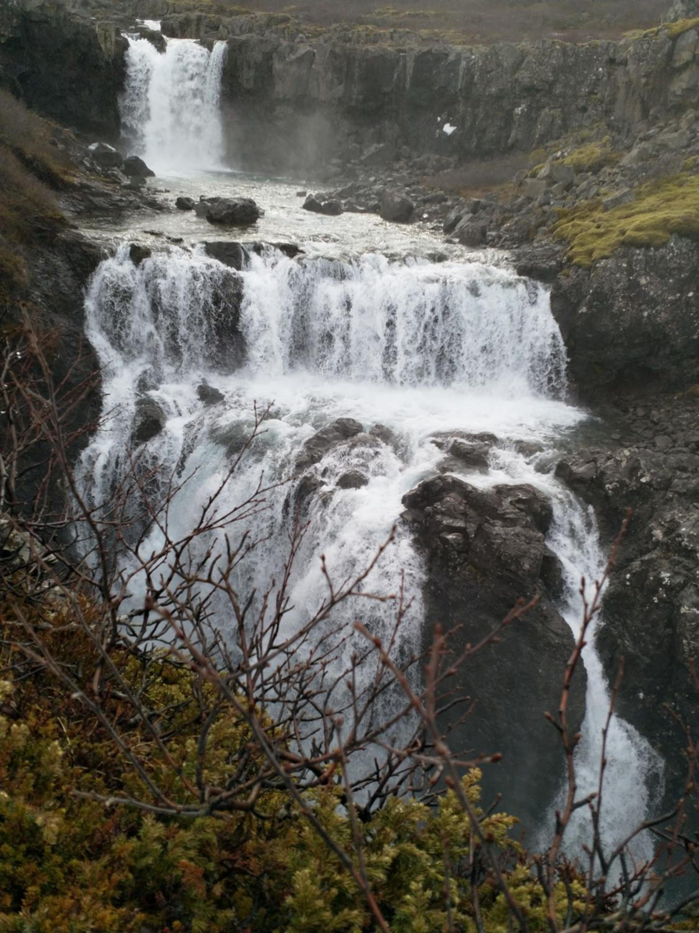 Photo 21
