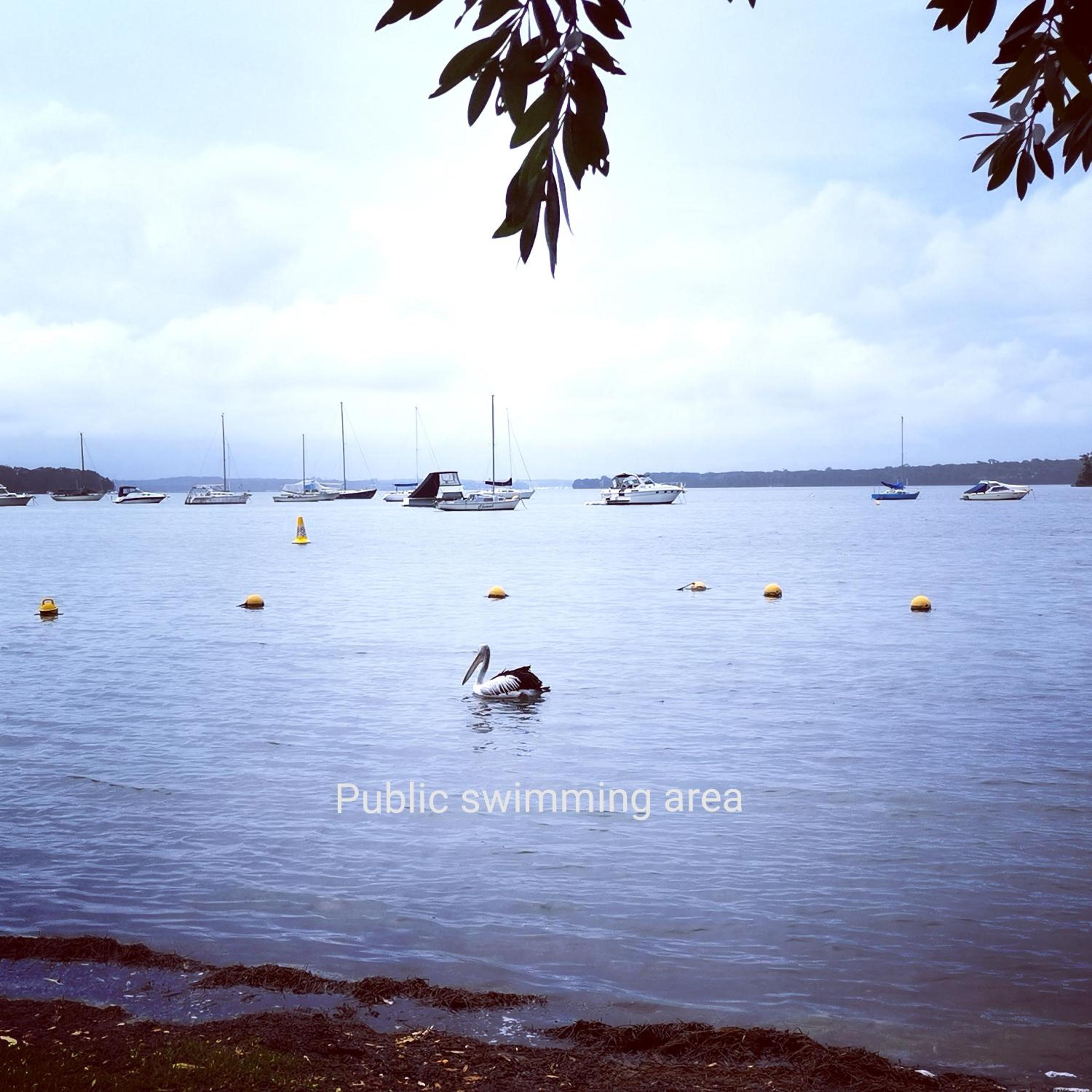 Getaway Lakefront Environmental House on Lake Macquarie with Water View