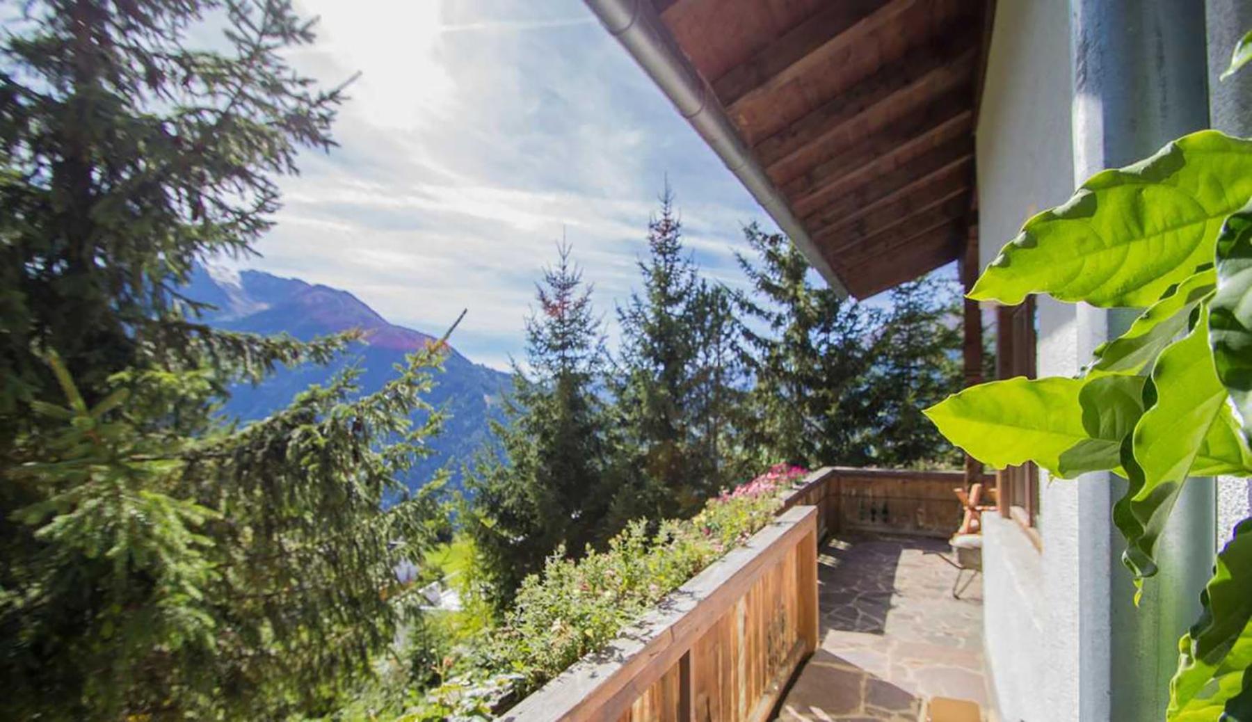 Ferienwohnung 4 Personen Alleinlage am Wald Nähe Skigebiet Hochzeiger view 3