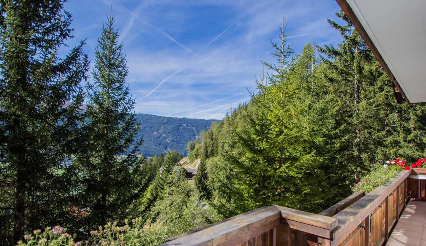 Ferienwohnung 4 Personen Alleinlage am Wald Nähe Skigebiet Hochzeiger view 5