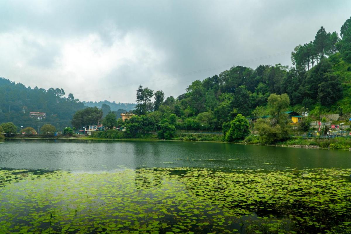 The Hosteller Naukuchiatal, Bhimtal, photo 12