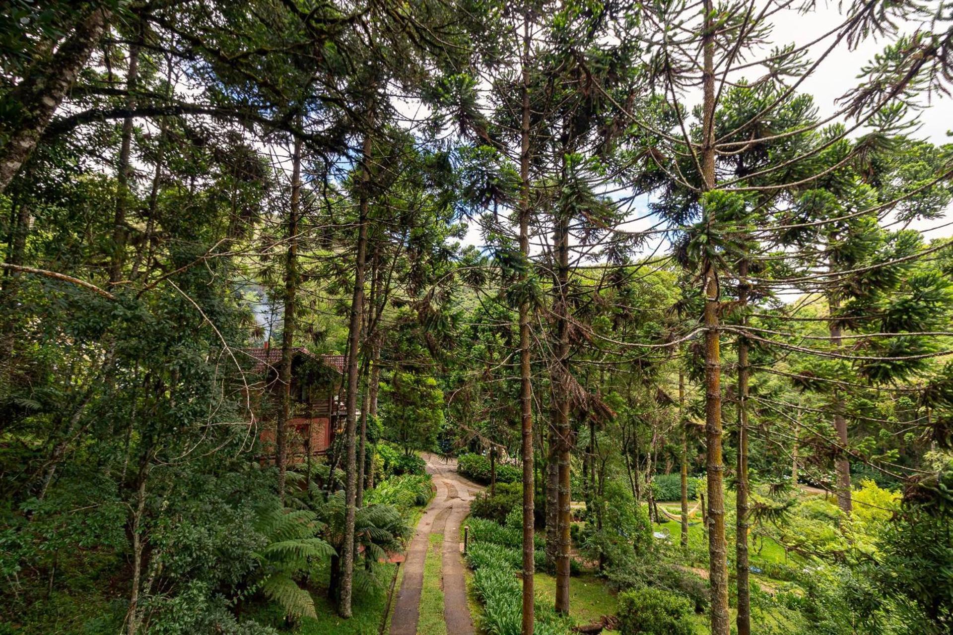 Vale do Lajeado - Mountain chalets