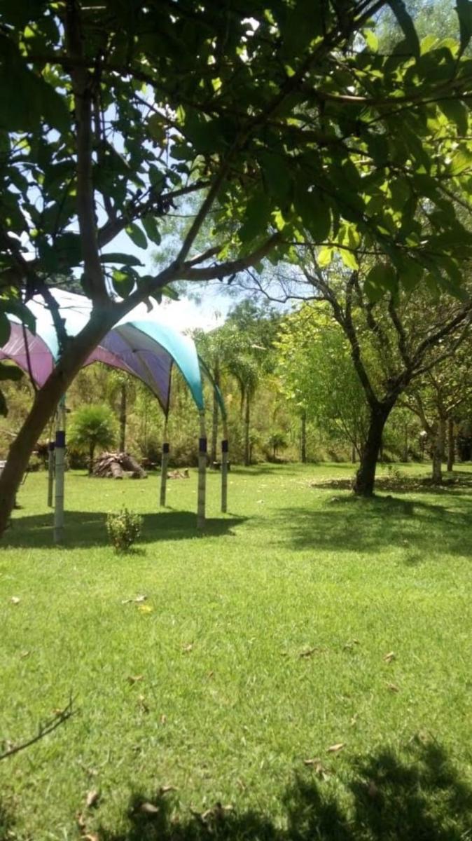 Photo 42