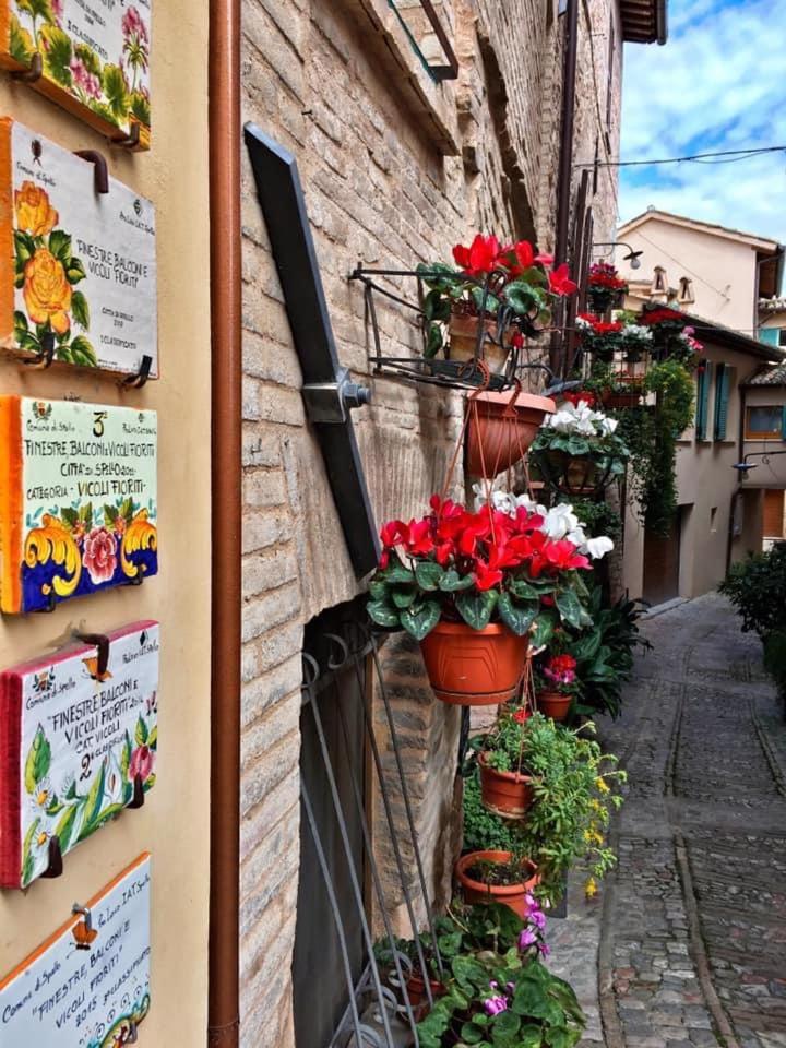 Appartamento Palma en Spello — other