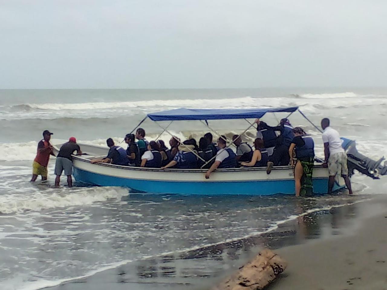 El palmar azul