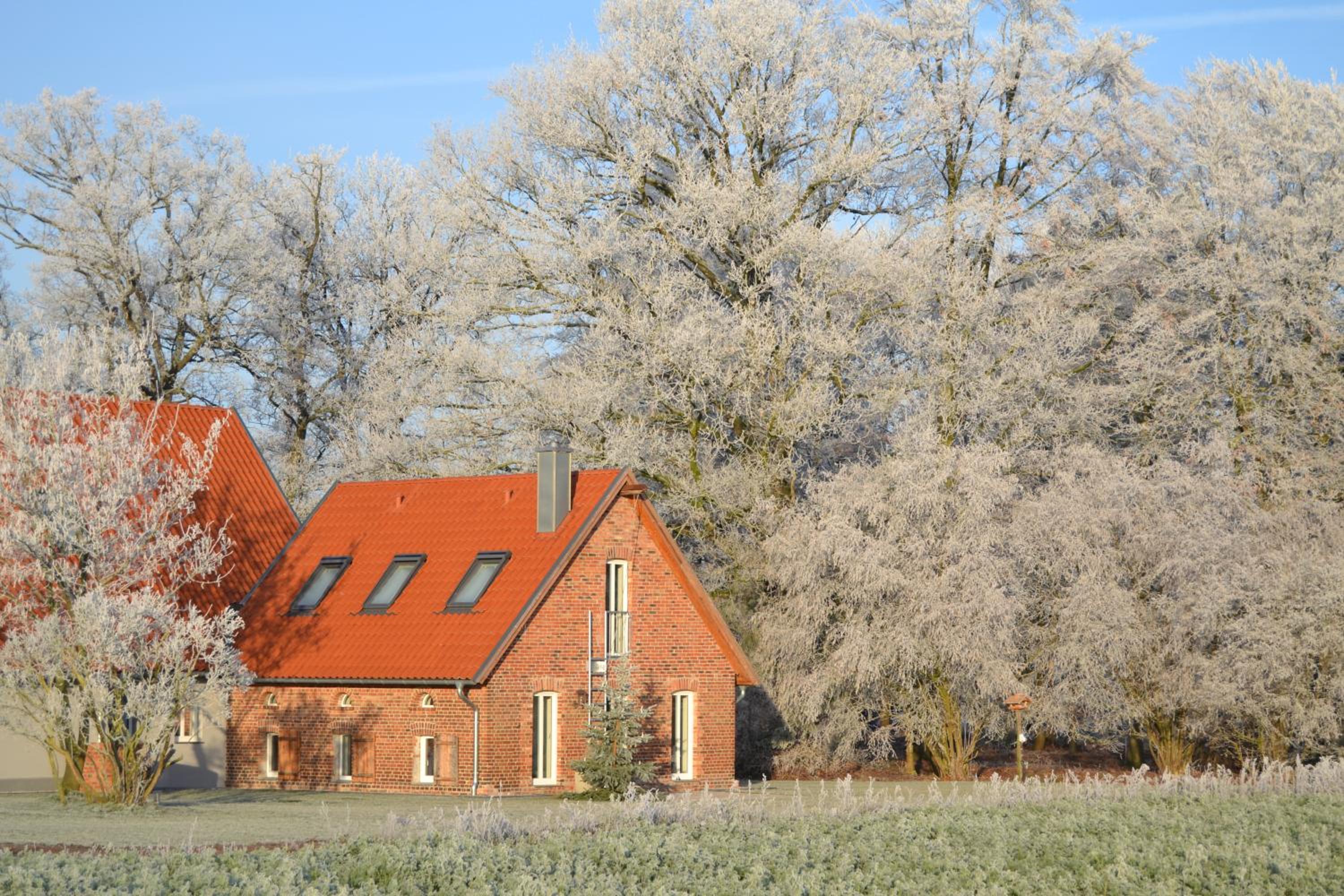Zum Heuerling Ferienwohung im alten Stall mit Sauna, photo 8