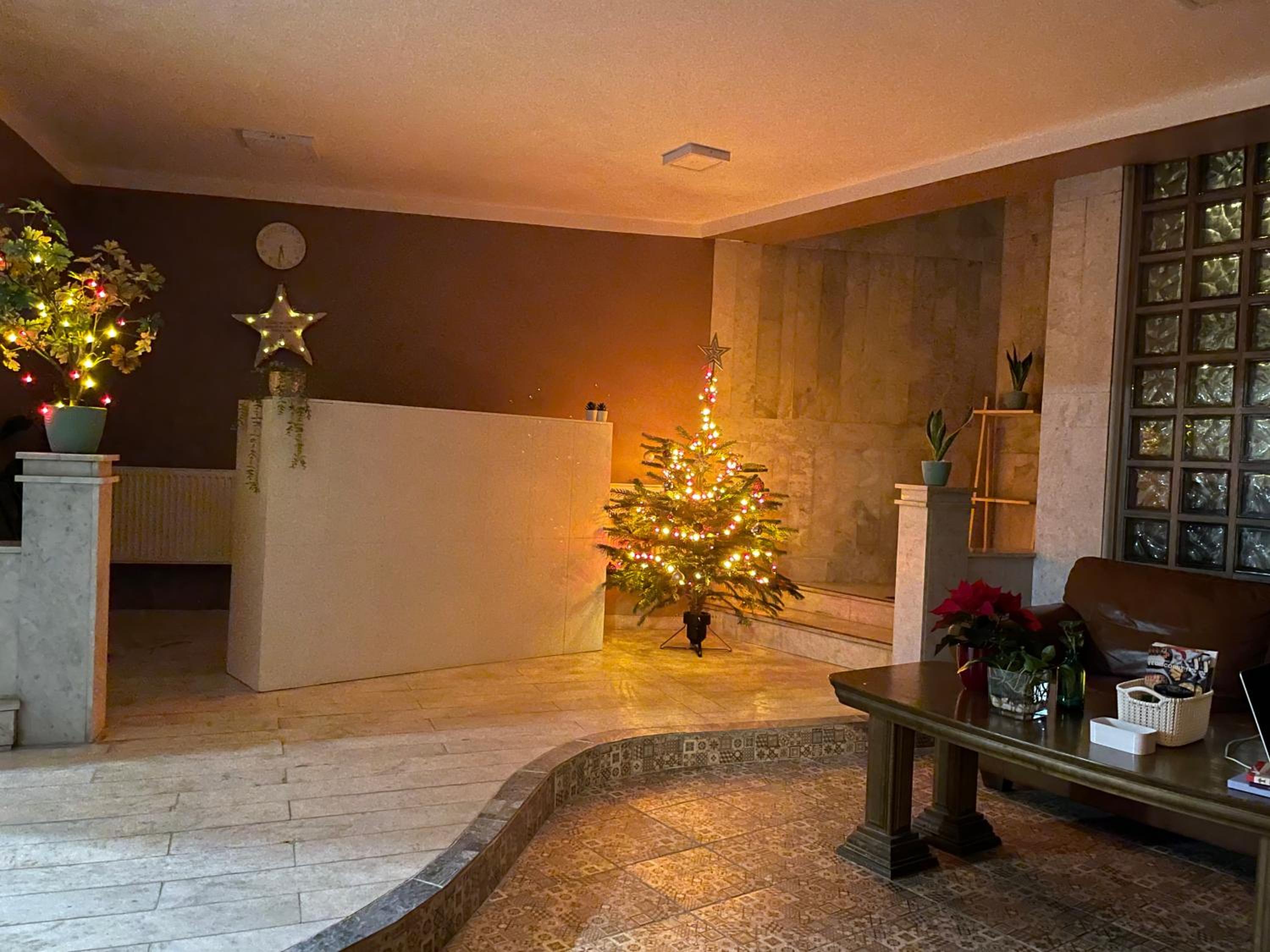 Photo 12