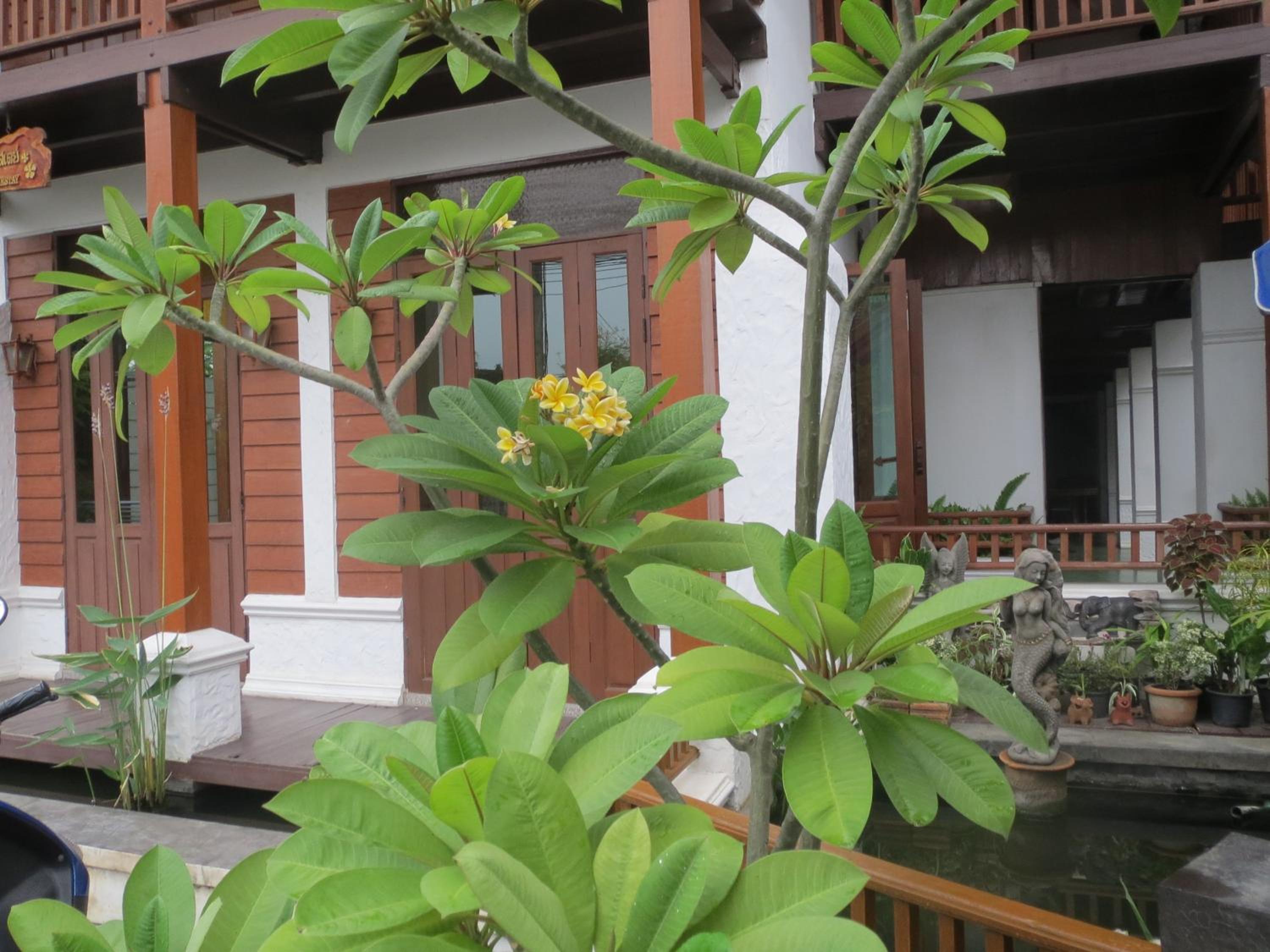 Baanlek Home Stay