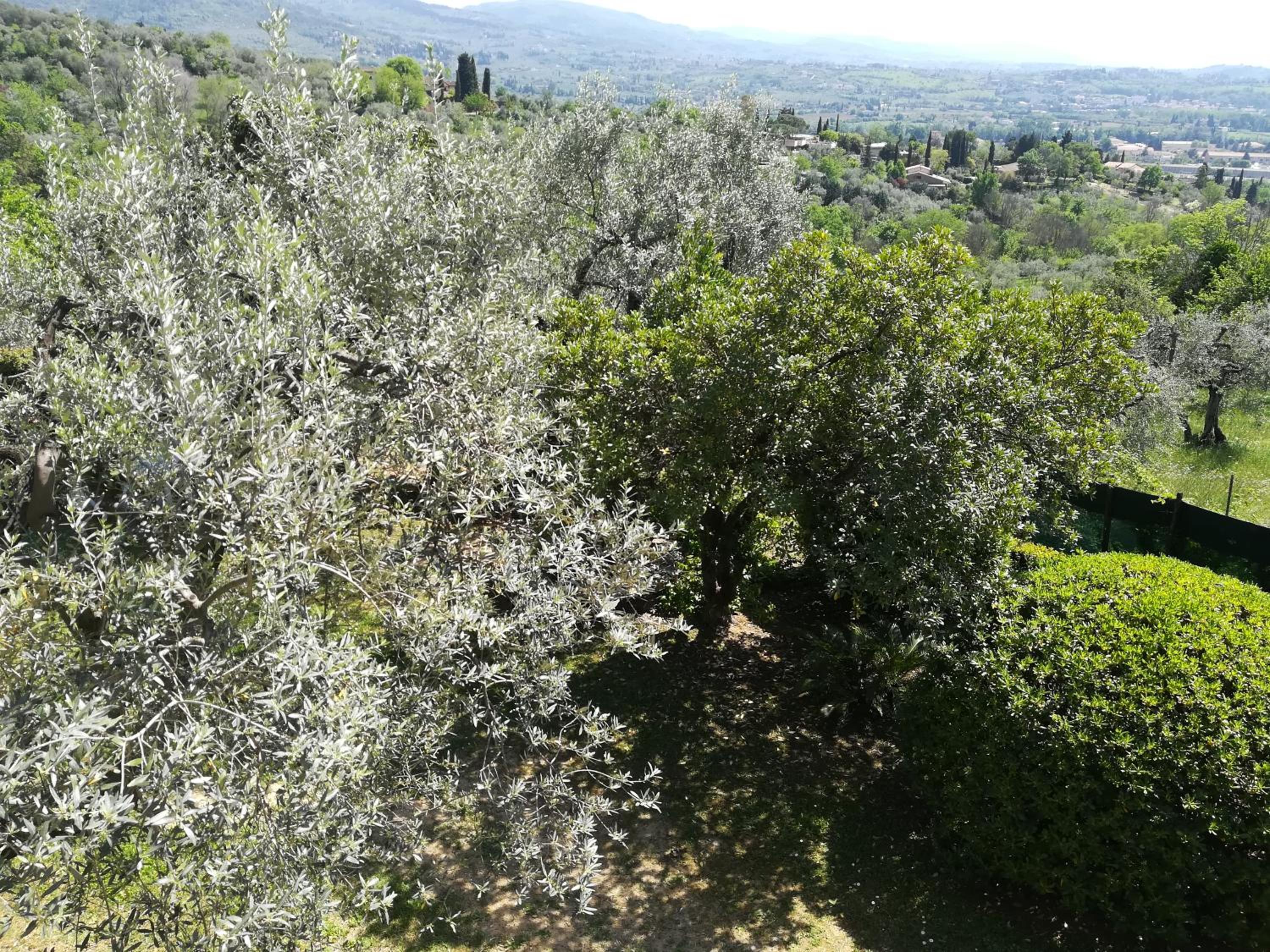 Villa Gallorosso view 4