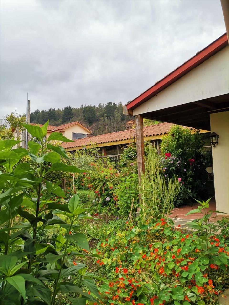 Casona Patrimonial Cobquecura Hotel Boutique