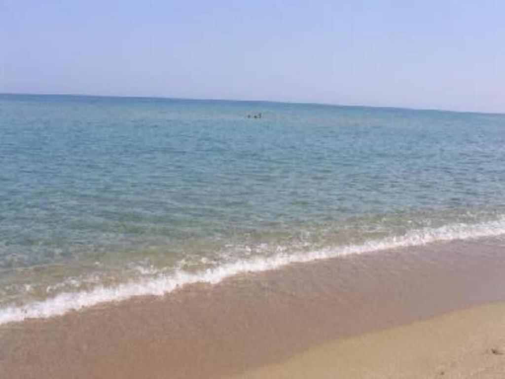 Maison de vacances dans un village de vacances à100 m. de la plage view 4