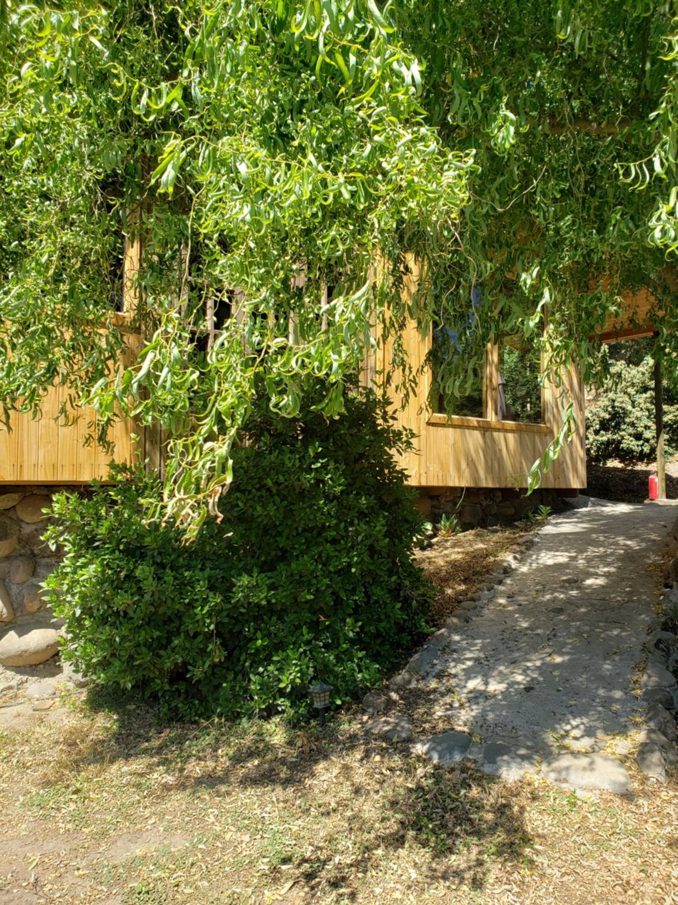 Photo 37