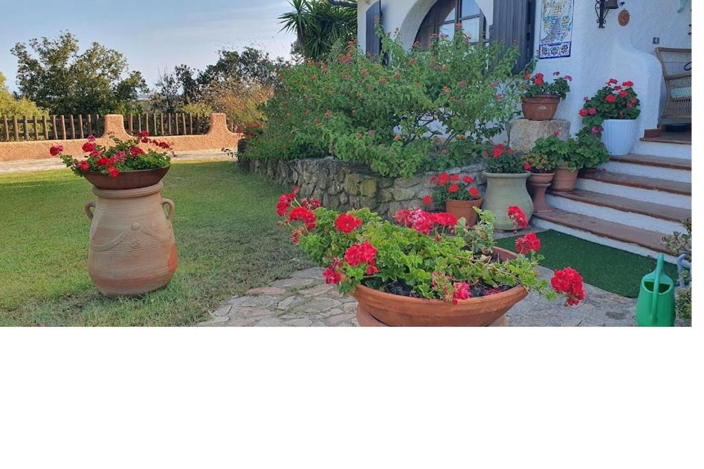Villa La Sarra Misia photo 5