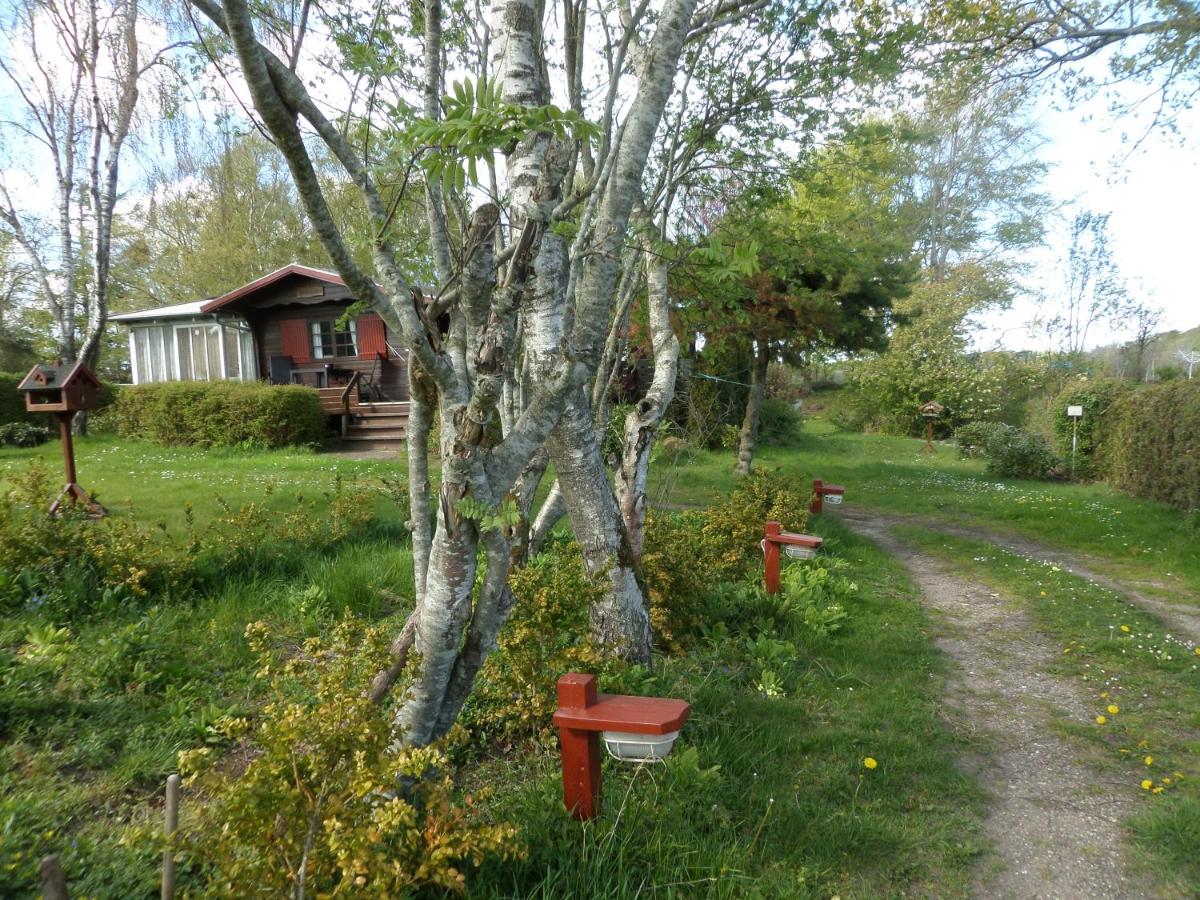 Photo 83