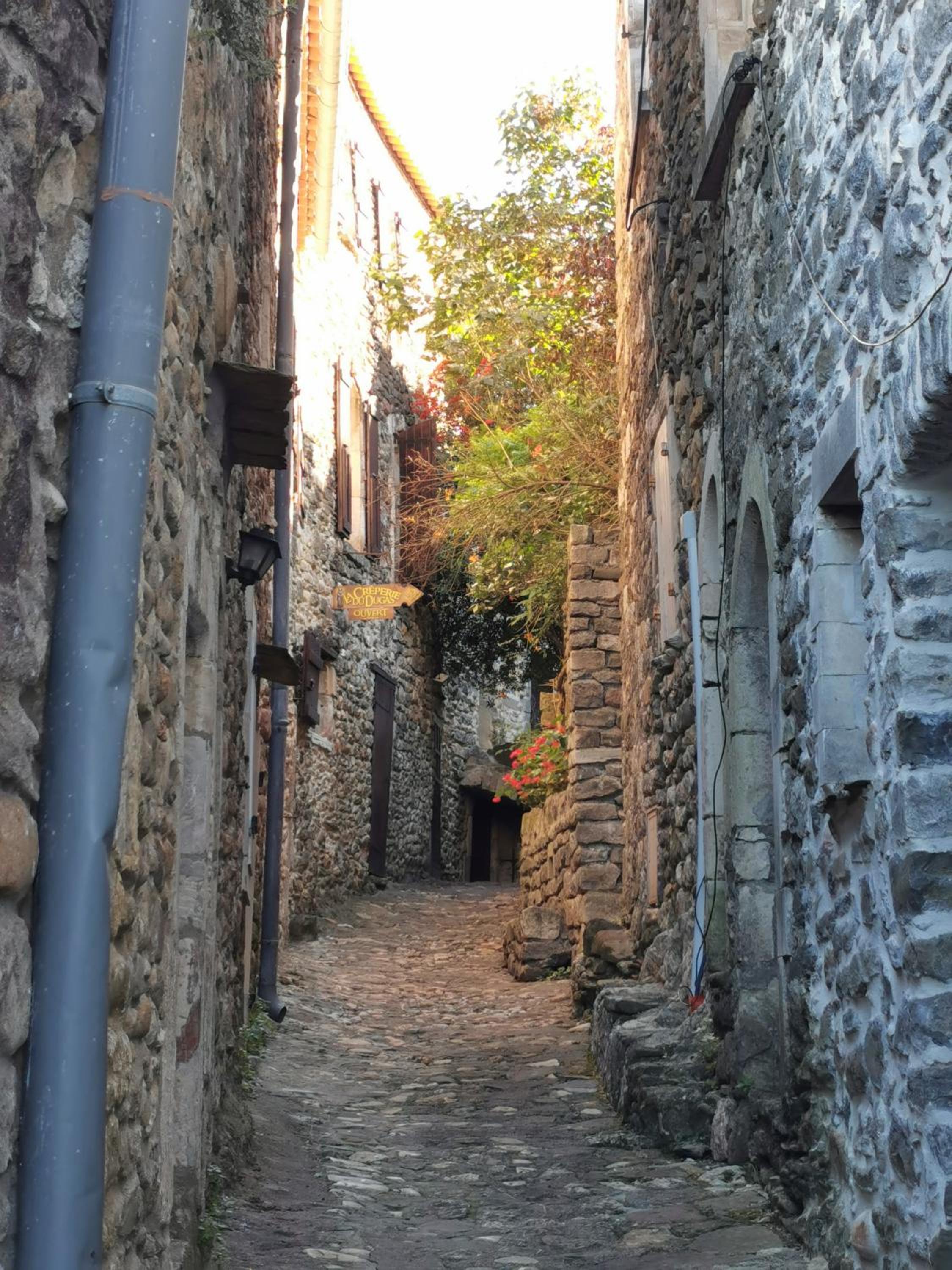 Mes Maisons - Two Gites with Private and Shared pools in Cévennes