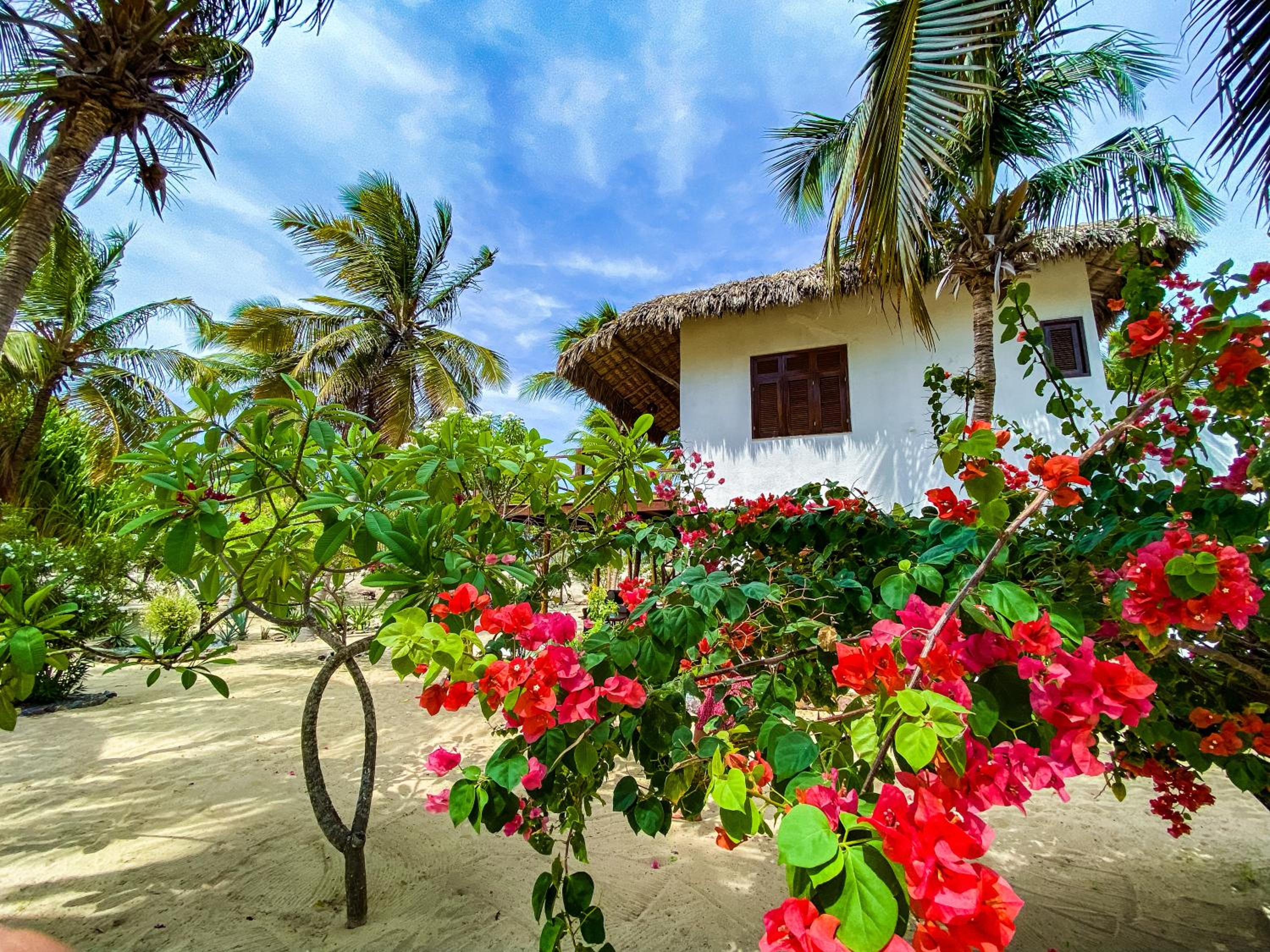 Casa Camurupim