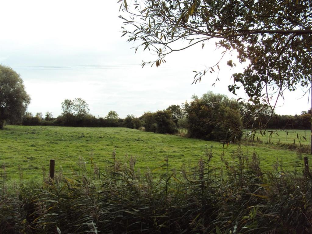 Withy Cottages