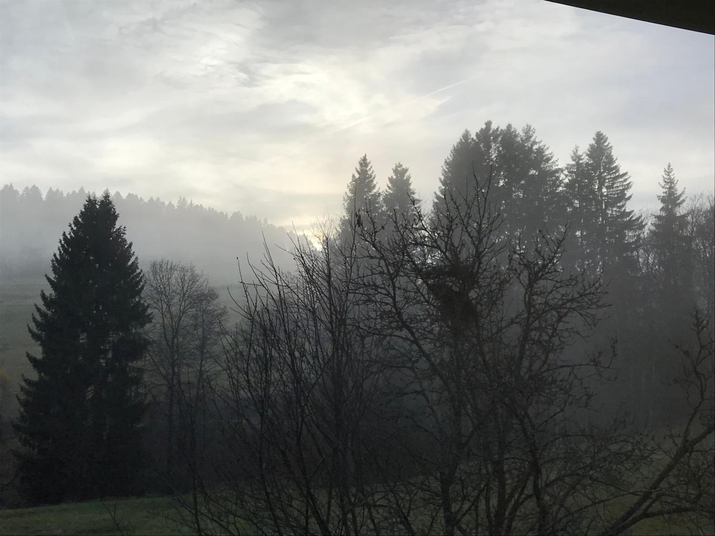 Der Schmidthof view 5