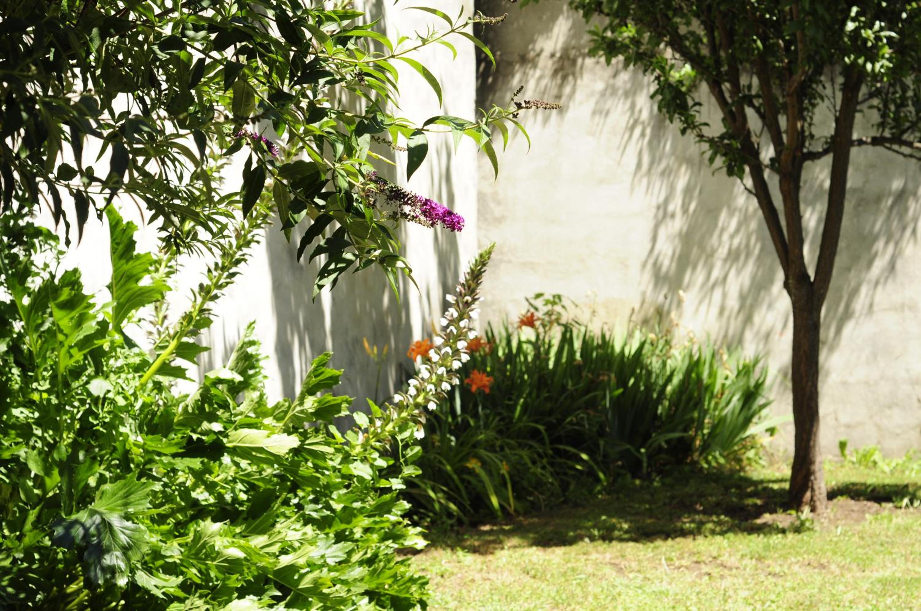 Casa Ñire
