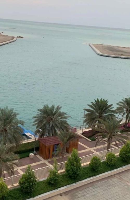 أزهار الكرز "سويت مطل على البحر" view 4
