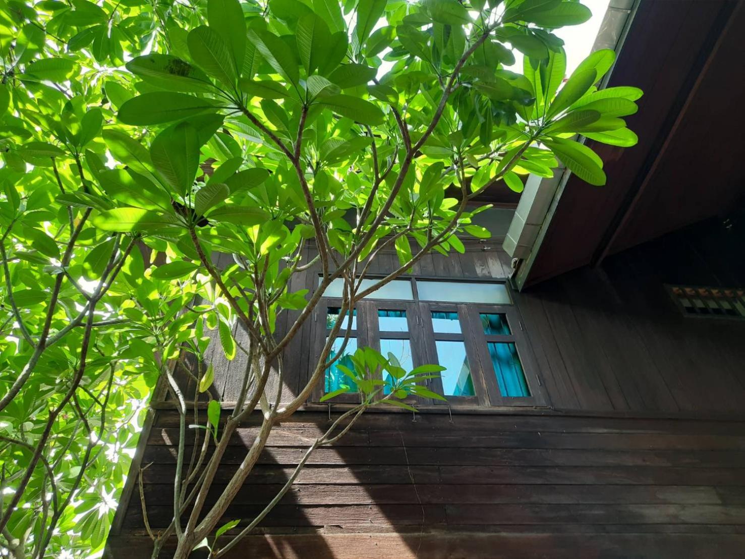 Baan Hanibah