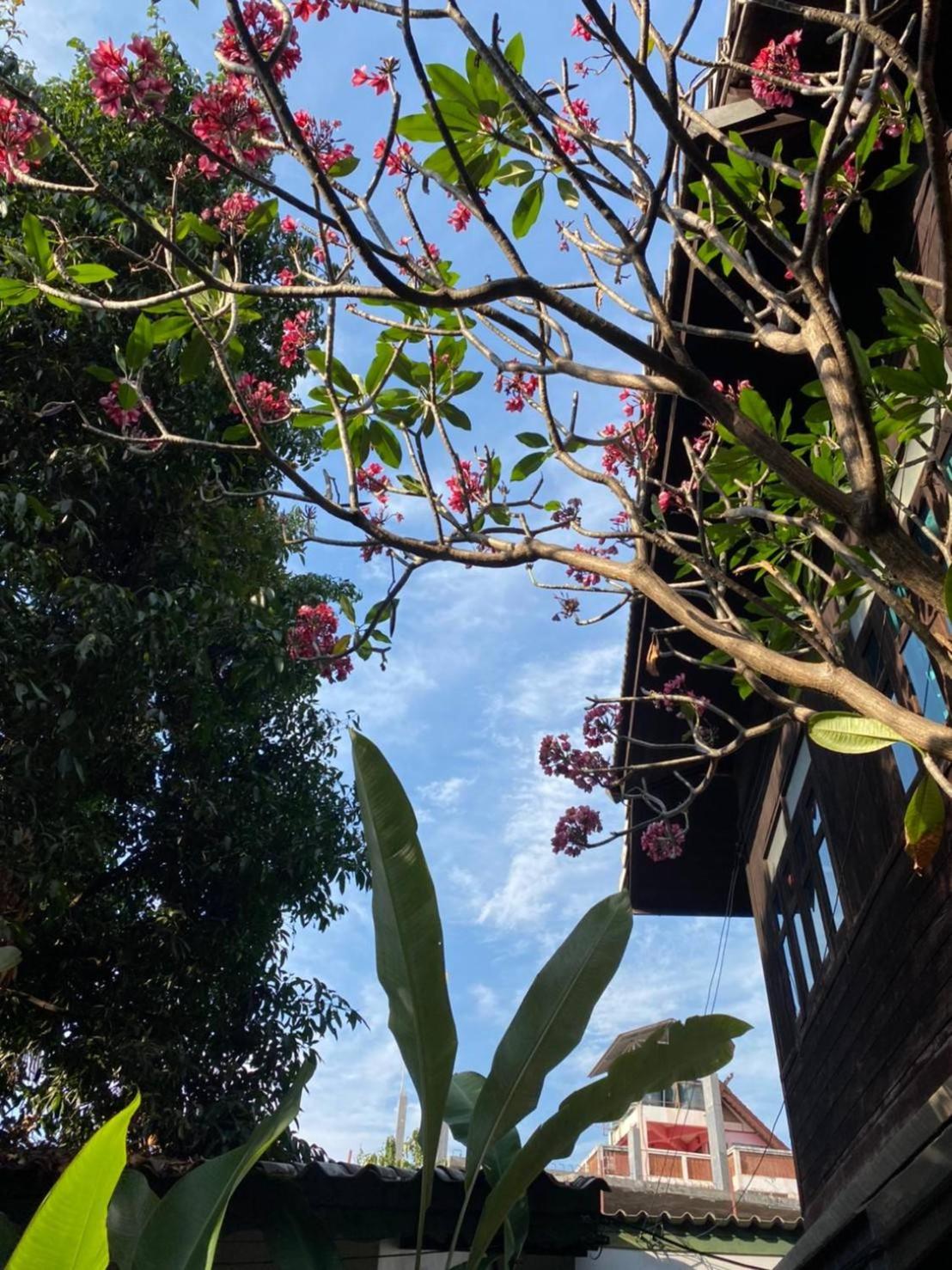 Baan Hanibah