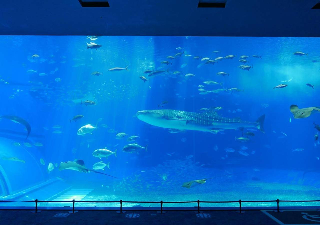 Hotel Mahaina Wellness Resorts Okinawa
