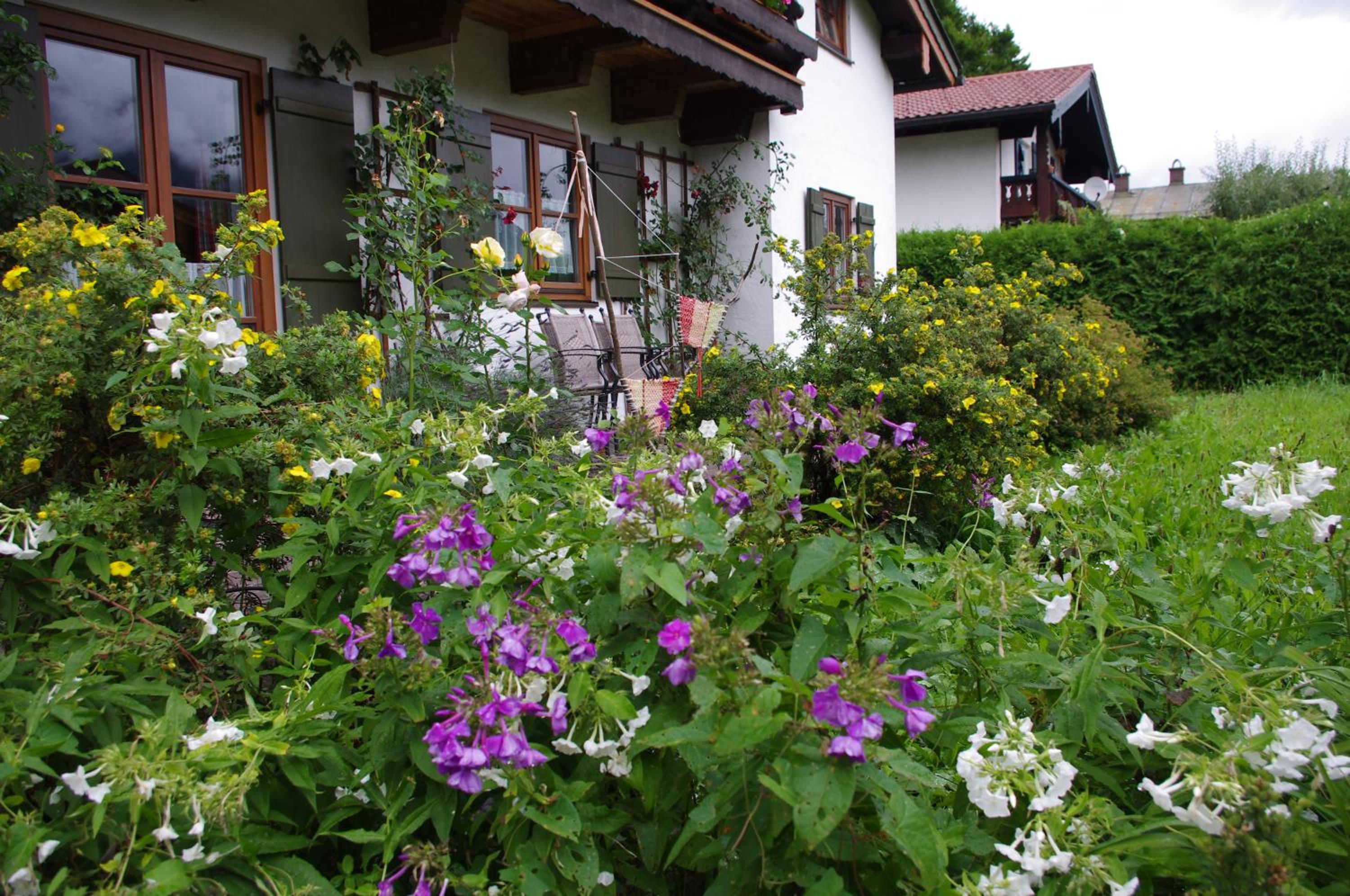 Ferienwohnung Haus Alpenrebe view 3