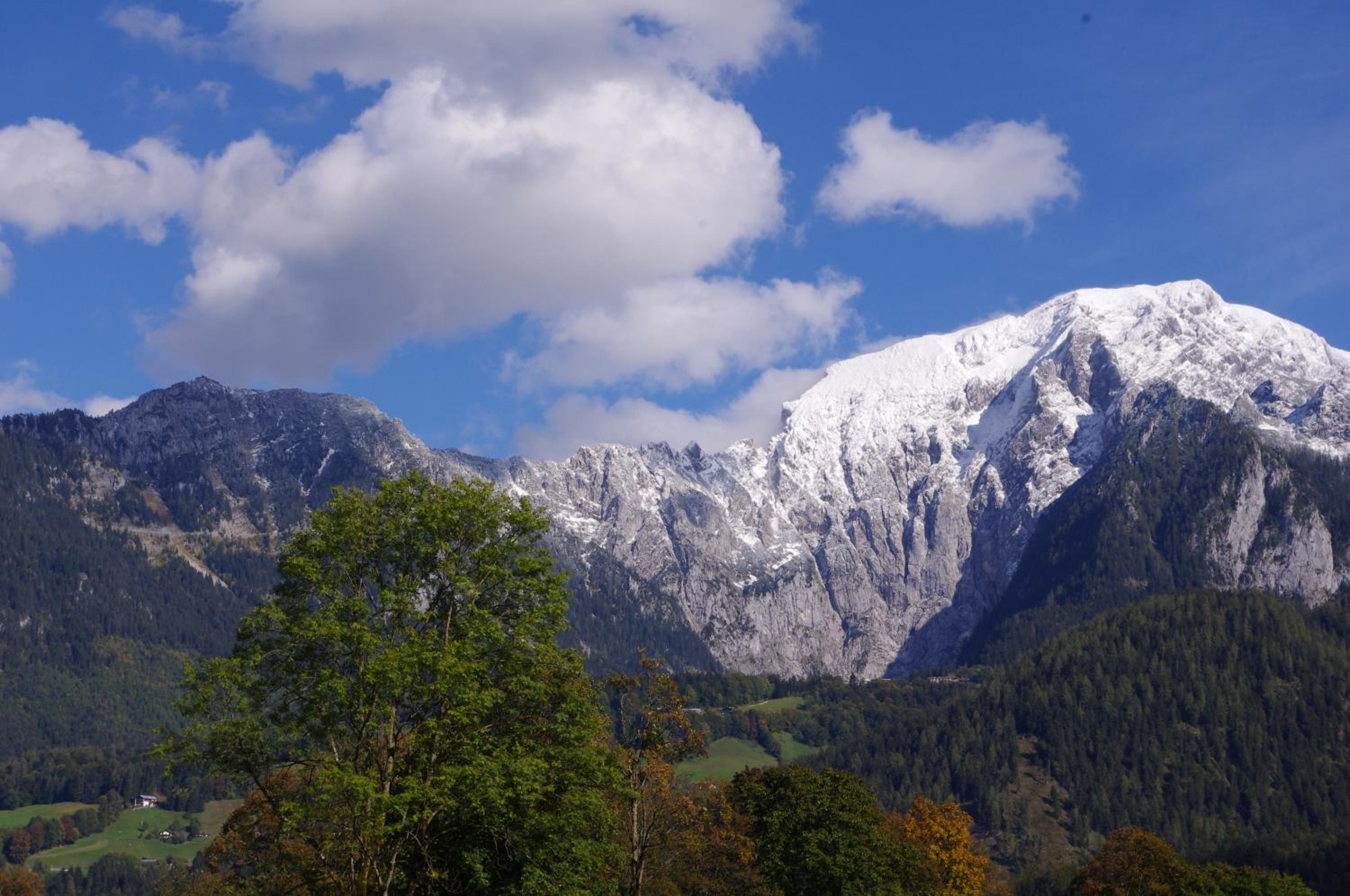 Ferienwohnung Haus Alpenrebe view 4