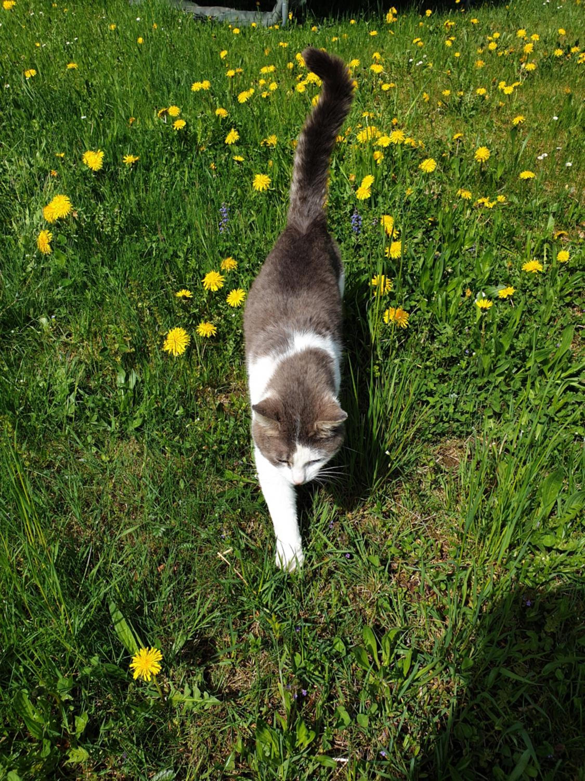 Photo 22